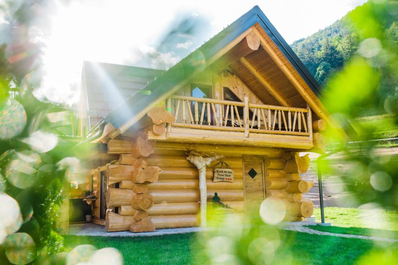 Forest Glade Cottage Recica ob Savinji Eksteriør bilde