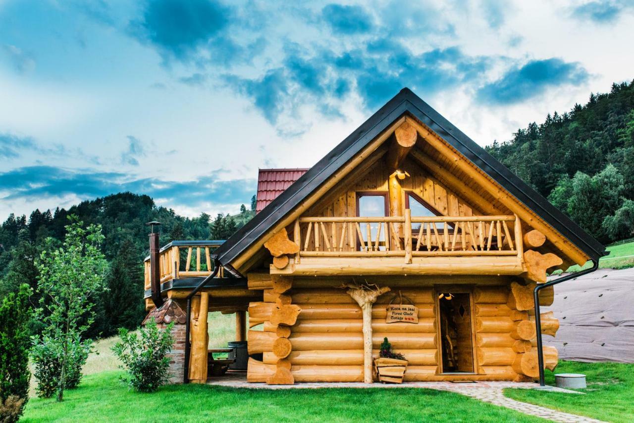 Forest Glade Cottage Recica ob Savinji Eksteriør bilde